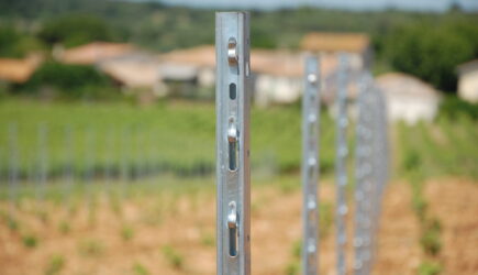 Les avantages des piquets de vigne en acier : résistant-pratique-économique